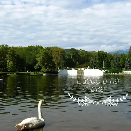 д и в 1 - D & V 1 *