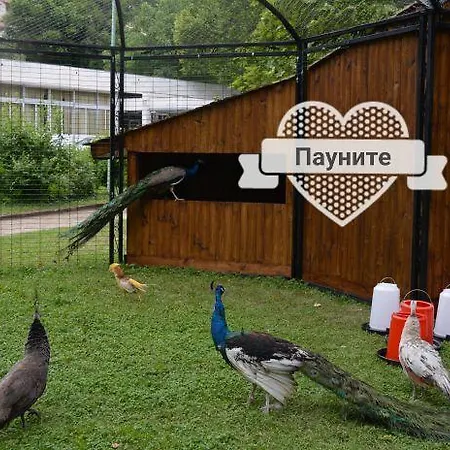 д и в 1 - D & V 1 산단스키