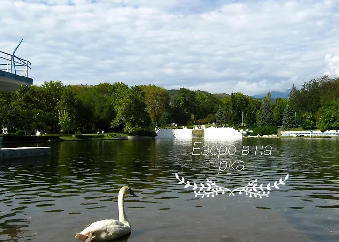 д и в 1 - D&v 1 *